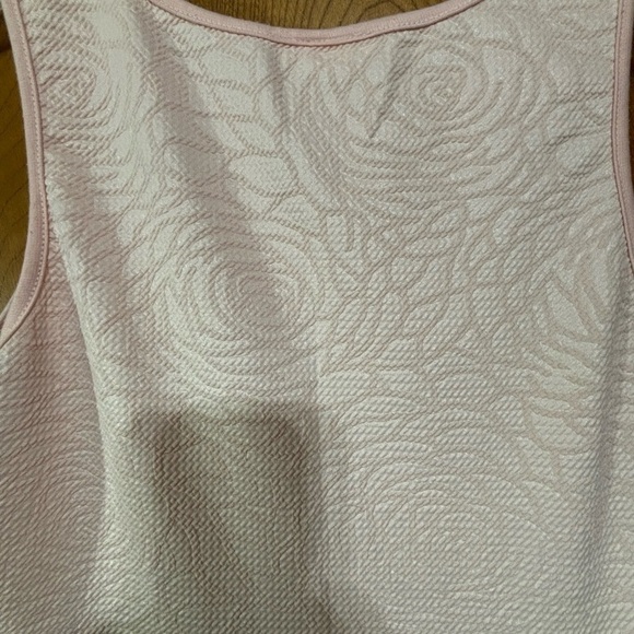 Blush Pink Body Central Sleeveless Dress with Peplum - Picture 4 of 6